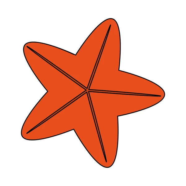 Starfish or sea star icon image — Stock Vector