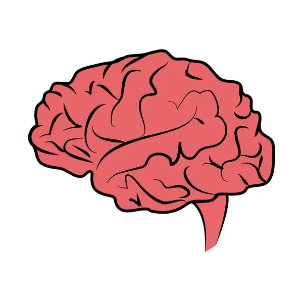 Imagen icono del cerebro humano — Vector de stock