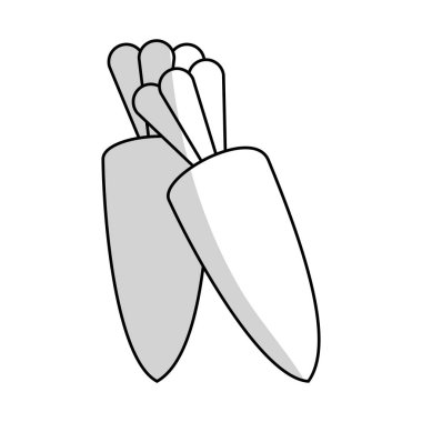 Havuç sebze simgesi