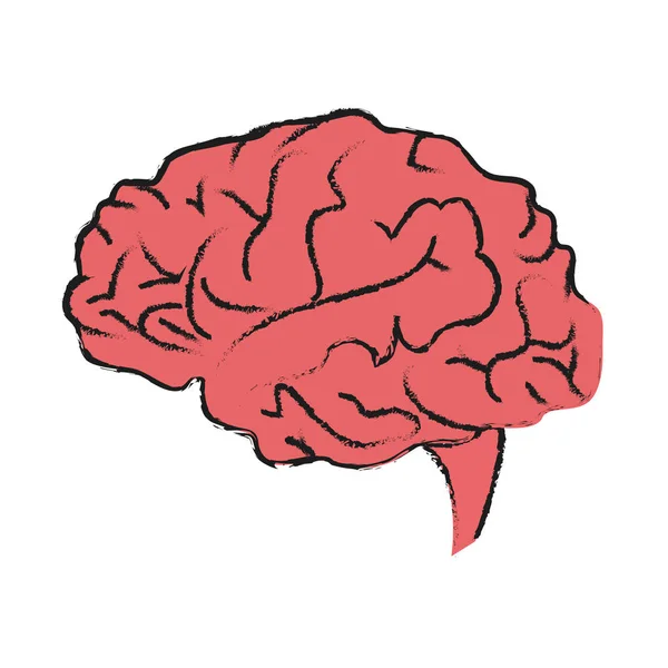 Ανθρώπινο εικονίδιο εγκεφάλου — Διανυσματικό Αρχείο