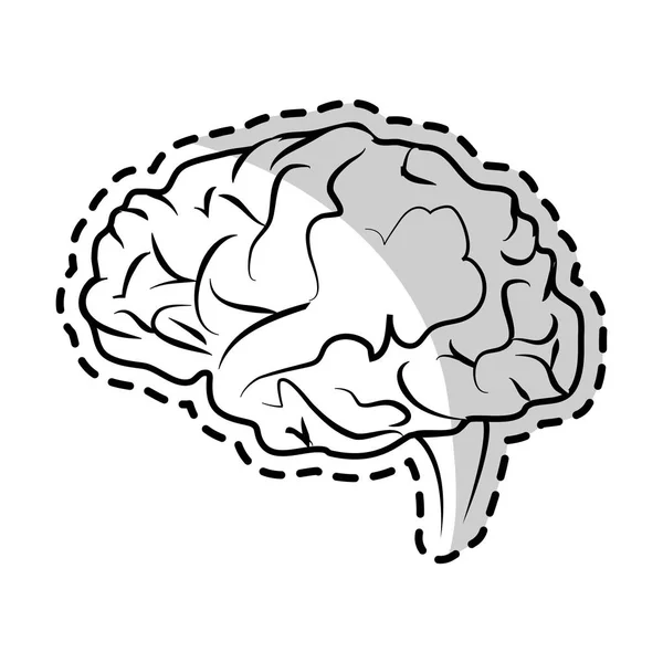 Mänskliga hjärnan ikonbild — Stock vektor