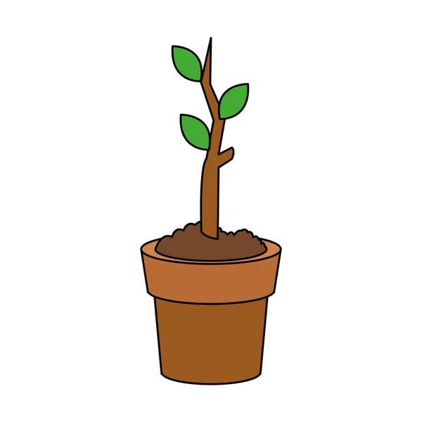 Broto de planta na imagem do ícone do pote —  Vetores de Stock