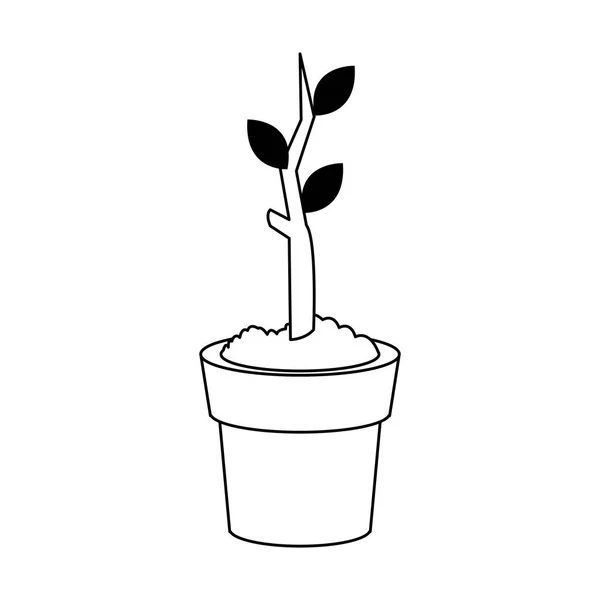 Plante dans un pot — Image vectorielle