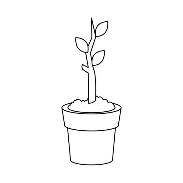 Plante dans un pot — Image vectorielle