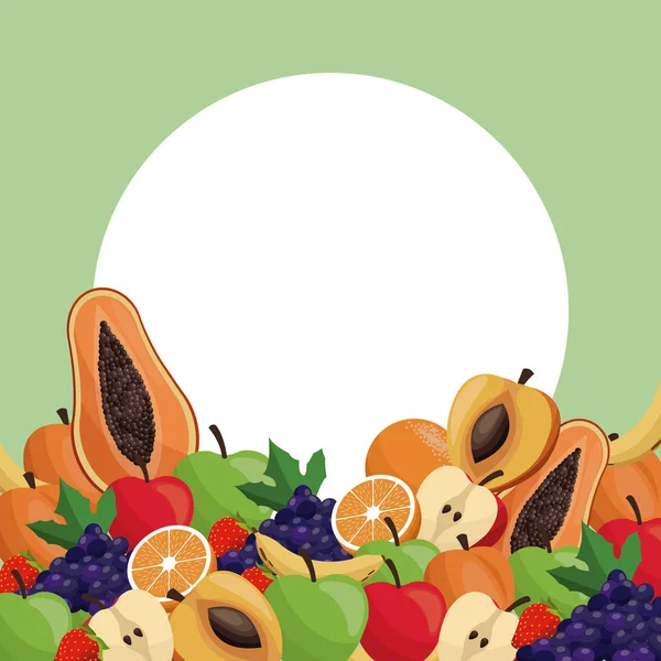 Gyümölcs érett lédús jelvény kép — Stock Vector