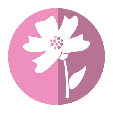 Deniz salyangozu çiçek dekorasyon görüntü gölge