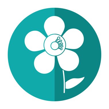 Yasemin çiçeği dekorasyon görüntü gölge