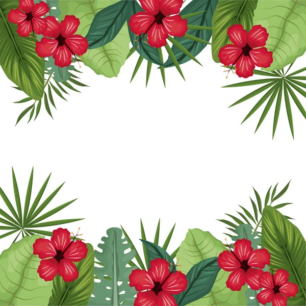 Carte hibiscus avec bordure de feuilles de palmier — Image vectorielle