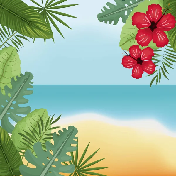 Beauty beach hibiscus palm island — Stock Vector