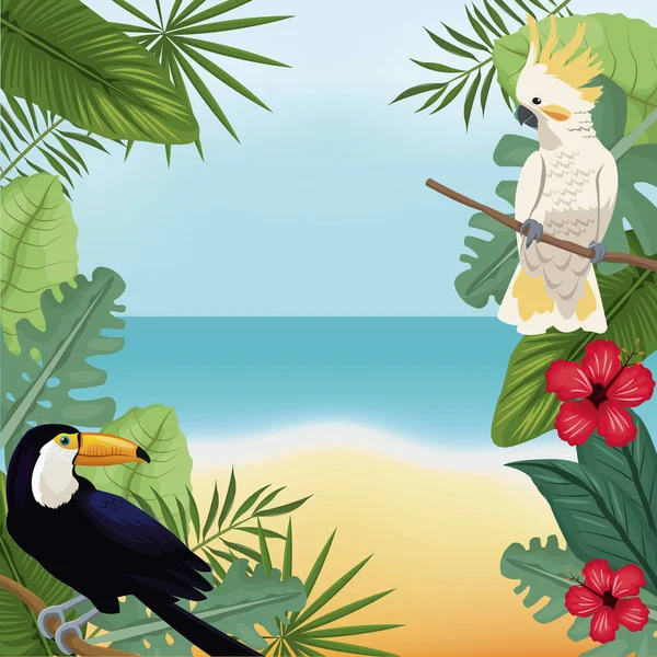 Cacatúa y tucán deja playa tropical — Archivo Imágenes Vectoriales