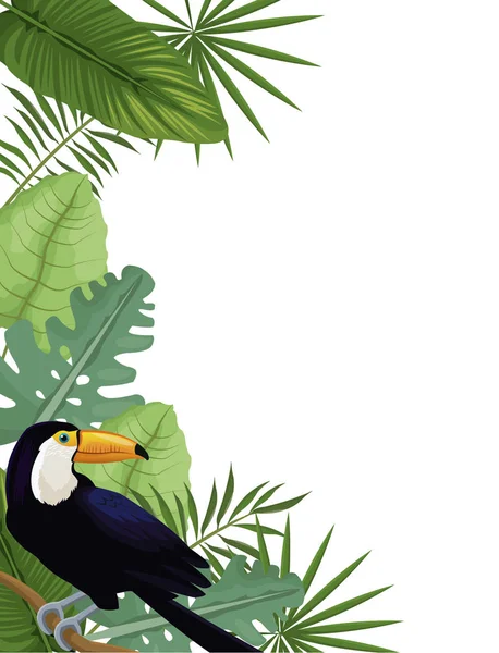 Kort toucan tropisk palm lämnar dekoration — Stock vektor