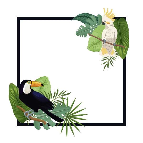 Pássaro tropical cartaz palma exótica — Vetor de Stock