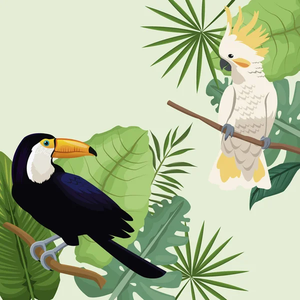 Cacatua e tucano deixa cartaz tropical — Vetor de Stock