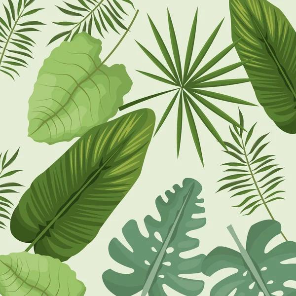 Collection palm leaves natural — Stock Vector