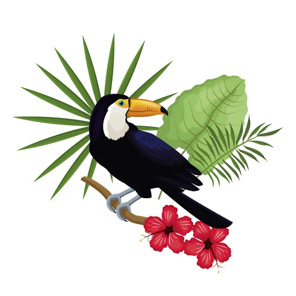 Toucan palmblad hibiscus gren — Stock vektor