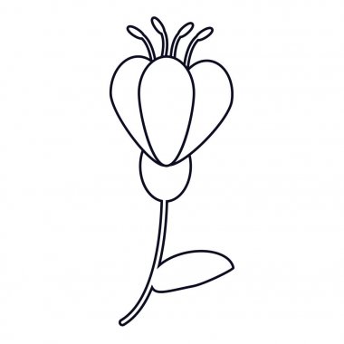 çiçek bahar dekorasyon hat