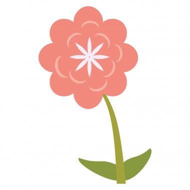 canna çiçek dekorasyon görüntü