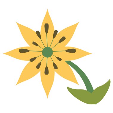 Plumeria çiçek dekorasyon görüntü