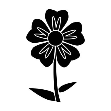 siluet Sardunya çiçeği doğal