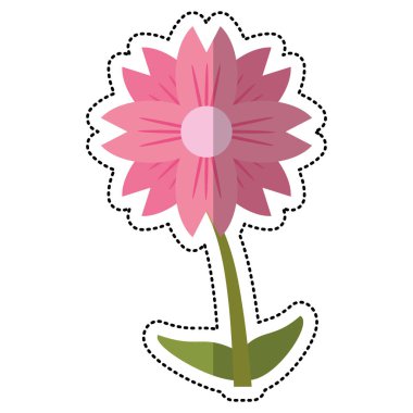 çizgi film amaryllis çiçek doğal