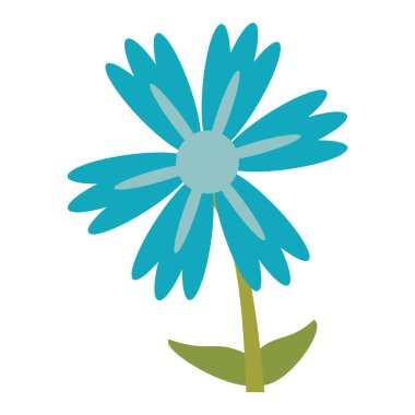 Lily çiçek doğal görüntü