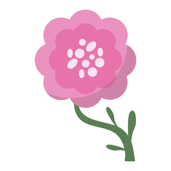 牡丹の花装飾イメージ — ストックベクタ