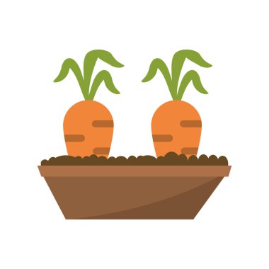 havuç bahçe yatak havuç görüntü