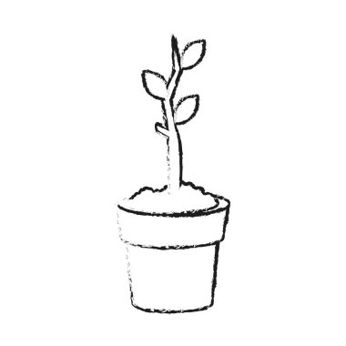 pot simge görüntüsünü bitki