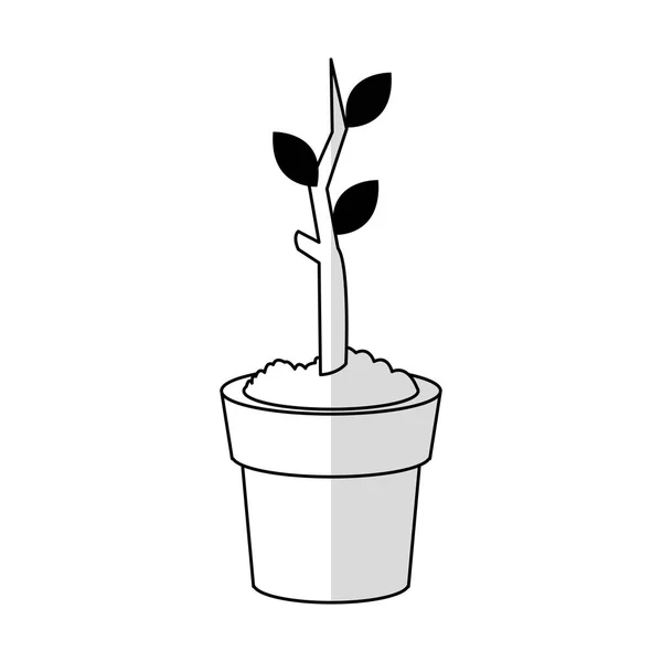 Plant in pot icon image — Stock Vector