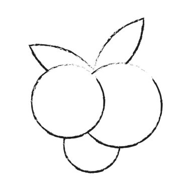 meyve simge görüntüsü