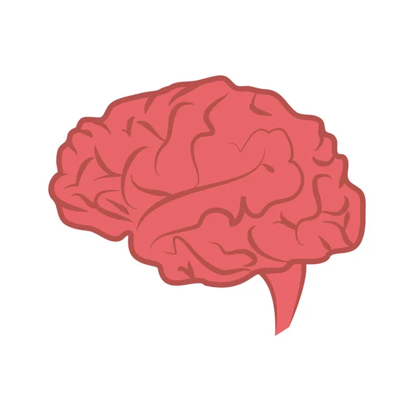 Icono del cerebro humano — Vector de stock