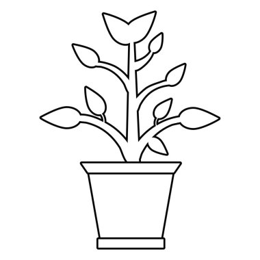 pot bitki Bahçe ince çizgi