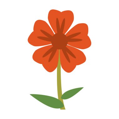 Sardunya çiçeği doğal görüntü