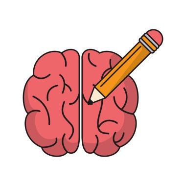 beyin fikir kalem bilgi