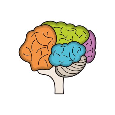 Colo beyin fikir yenilik