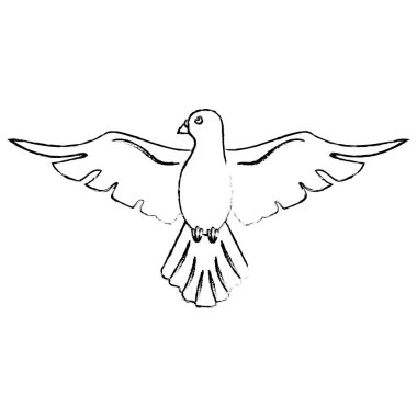 Kutsal Ruh Katoliklik kutsallık kroki