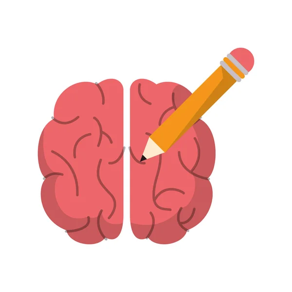 Gehirn Bleistift Kreativität Schule — Stockvektor
