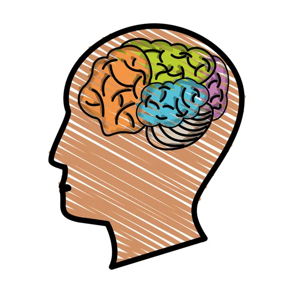 Dibujo cabeza perfil cerebro — Vector de stock