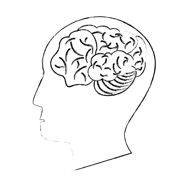 Tête cerveau humain pensée idée croquis — Image vectorielle