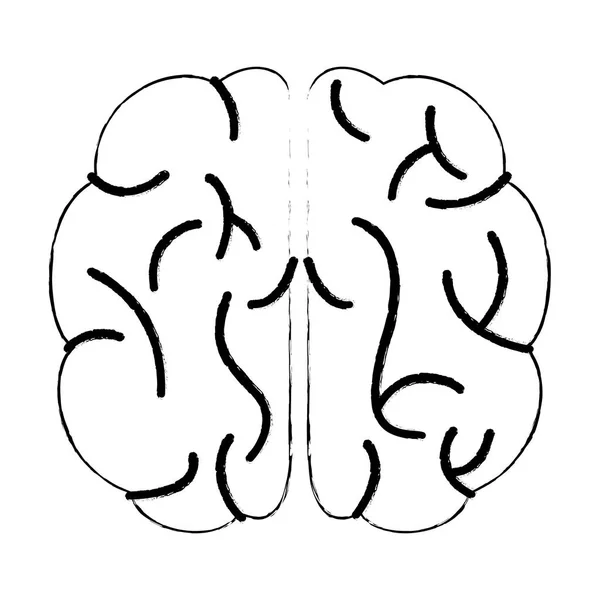 Skizze Gehirn menschlicher Wissensprozess — Stockvektor