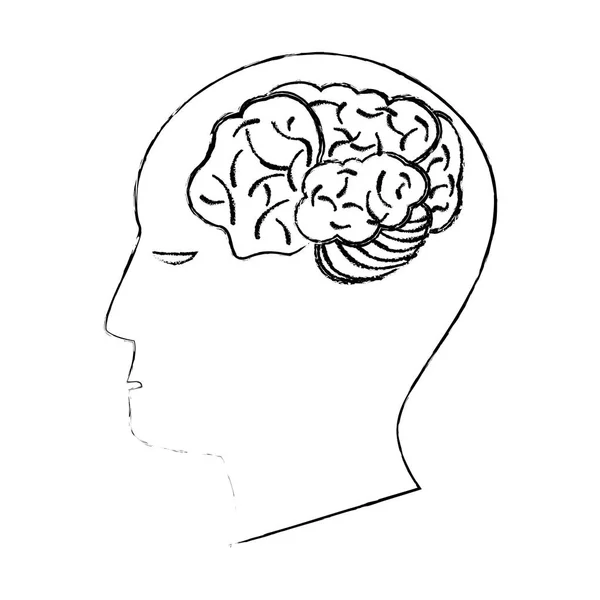 頭の人間の脳の創造性のスケッチ — ストックベクタ