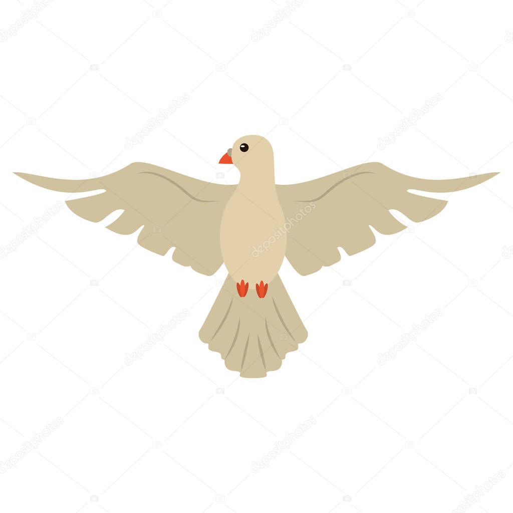 holy spirit dove symbol catholic