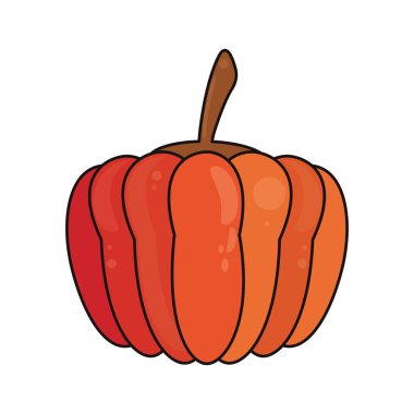 sebze gıda taze kabak