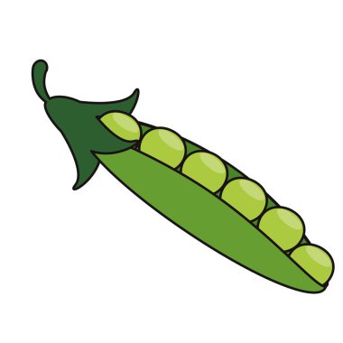 bezelye kabuğu sebze gıda taze