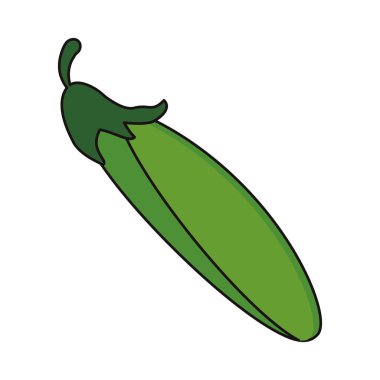 Kabak sebze gıda taze