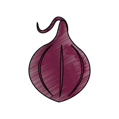 Çizim soğan yemek beslenme