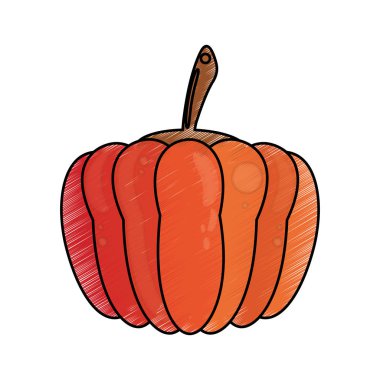 Çizim kabak gıda beslenme