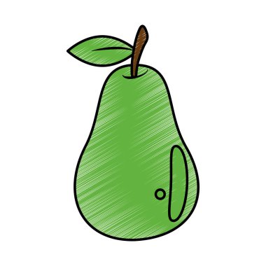 Çizim avokado beslenme gıda