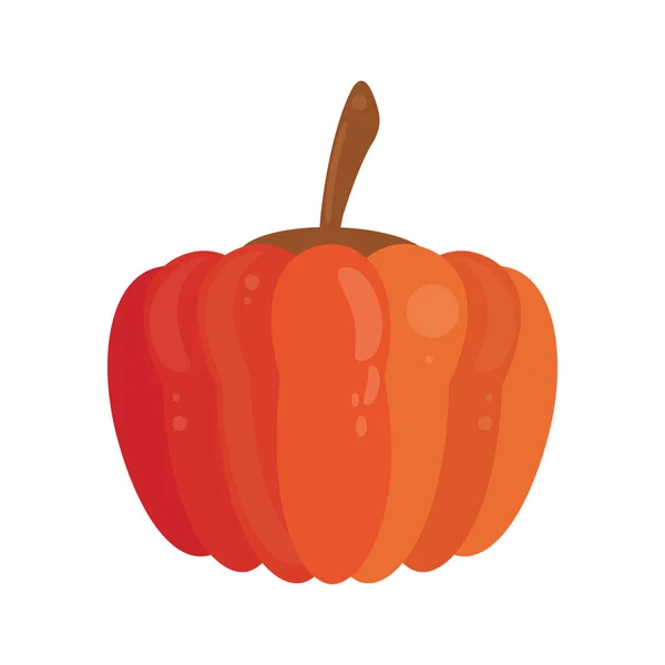 Pumpkin food healthy image — Stock Vector