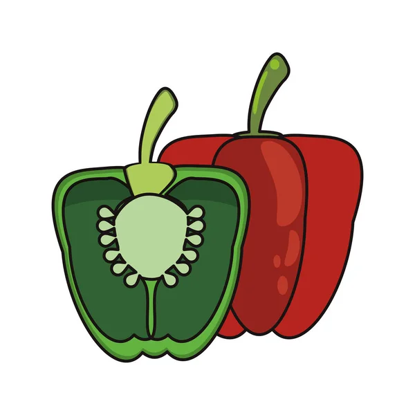 Grüne und rote Paprika pflanzliche Lebensmittel frisch — Stockvektor
